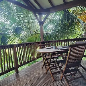 Coco Et Cajou Sainte-Anne (Grande-Terre)